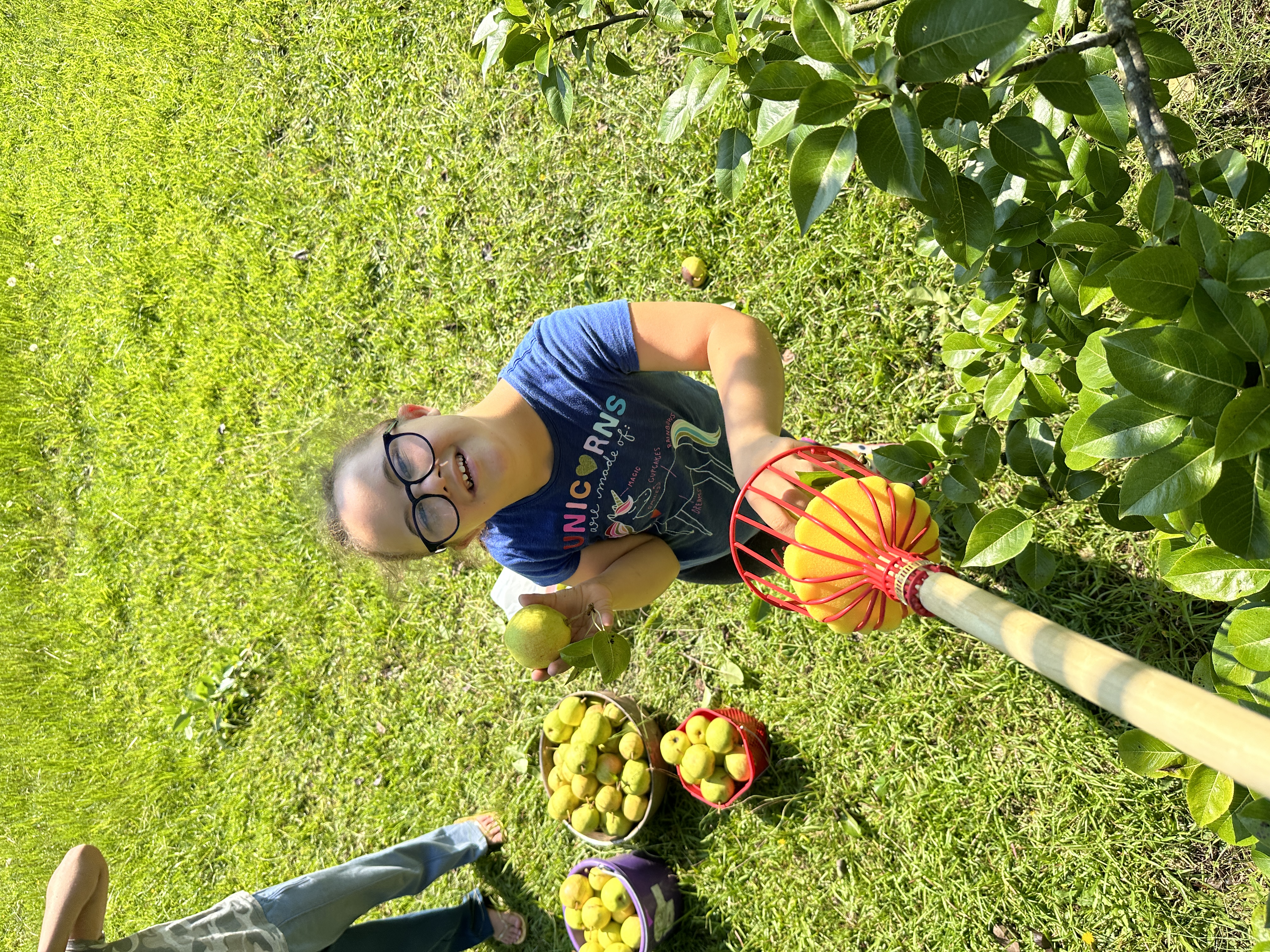 Garden Wrap-UP